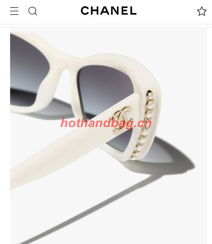 Chanel Sunglasses Top Quality CHS05003 Chanel Sunglasses Top Quality CHS05003