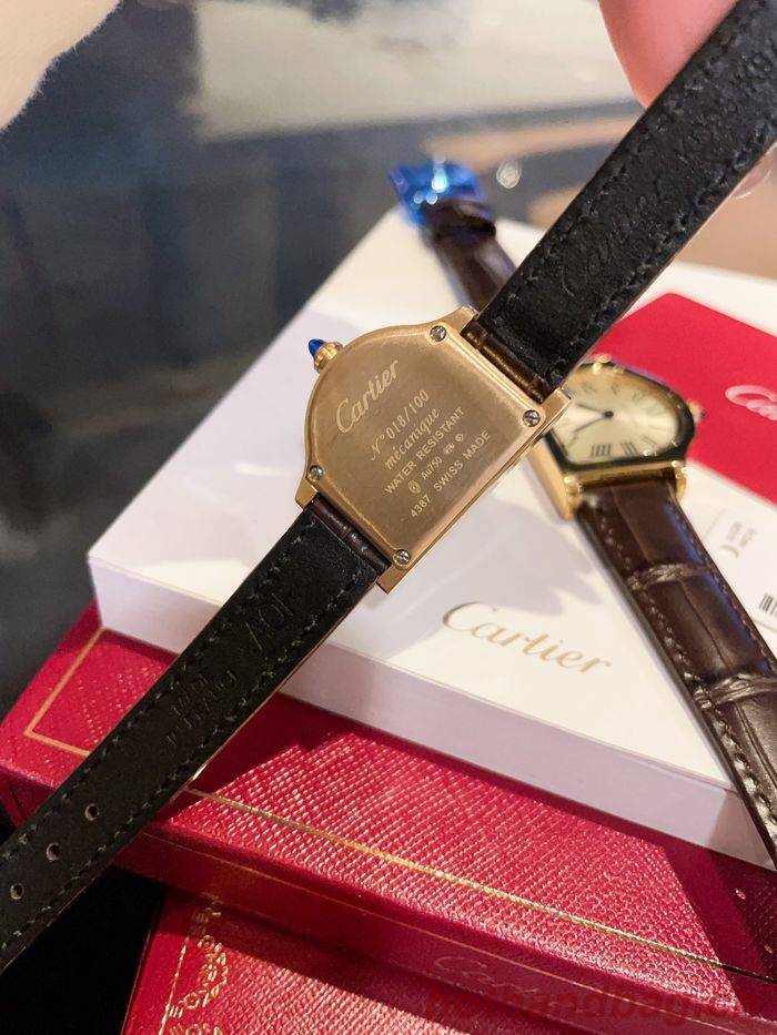 Cartier Watch CTW00210 Cartier Watch CTW00210