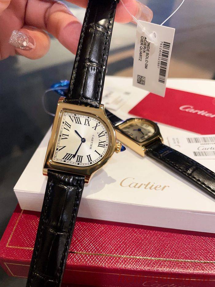 Cartier Watch CTW00211 Cartier Watch CTW00211