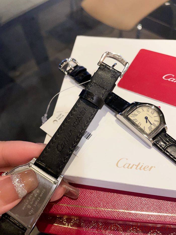 Cartier Watch CTW00213 Cartier Watch CTW00213