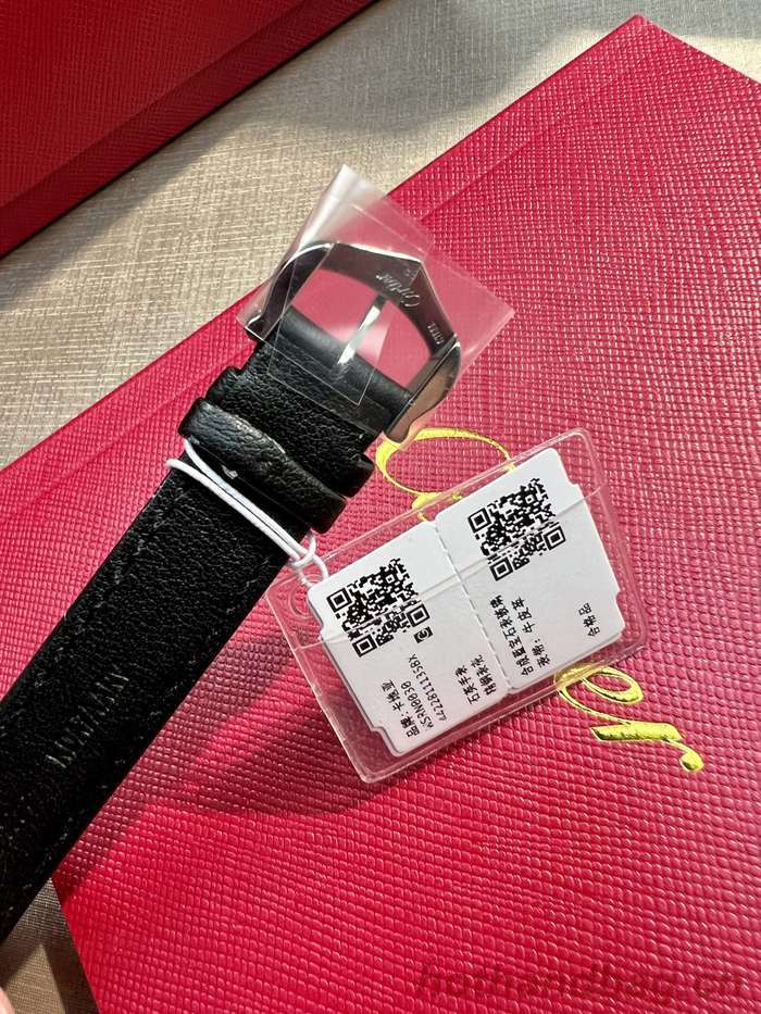 Cartier Watch CTW00270 Cartier Watch CTW00270