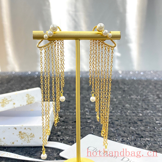 Dior Earrings CE12122 Dior Earrings CE12122