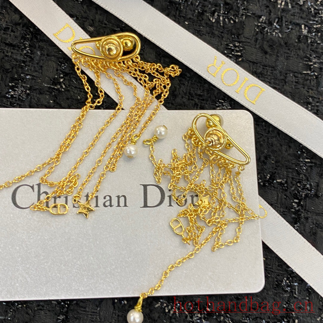 Dior Earrings CE12122 Dior Earrings CE12122