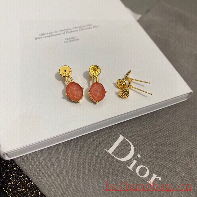 Dior Earrings CE12165 Dior Earrings CE12165