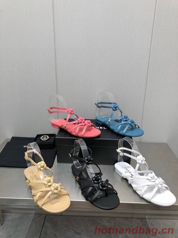 Chanel Shoes CHS00814