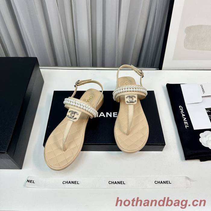 Chanel Shoes CHS01084 Chanel Shoes CHS01084