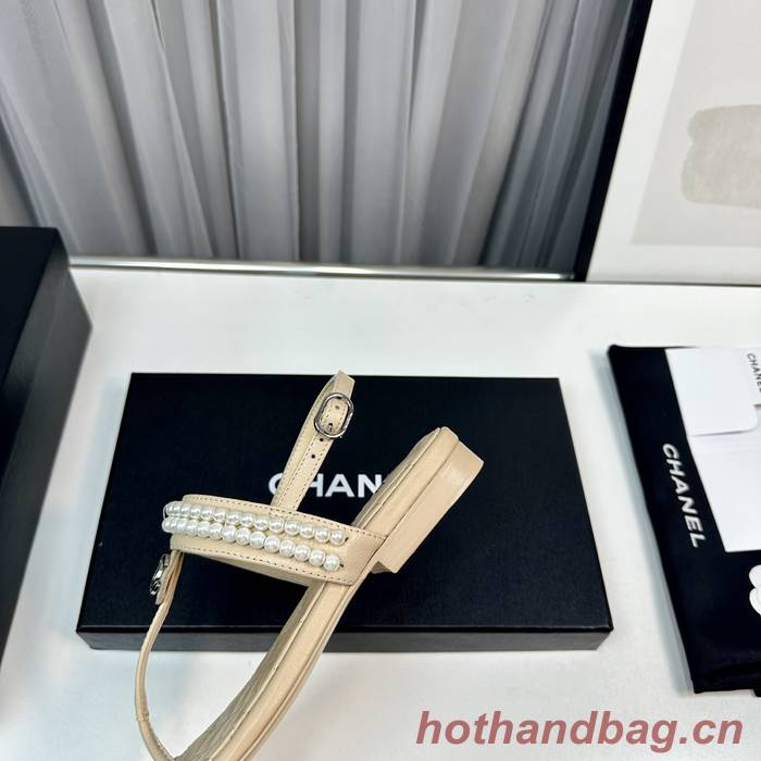 Chanel Shoes CHS01084 Chanel Shoes CHS01084