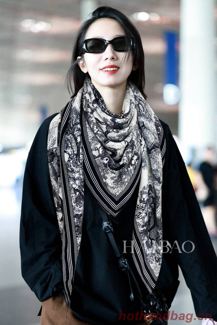 Dior Scarf DIC00208 Dior Scarf DIC00208