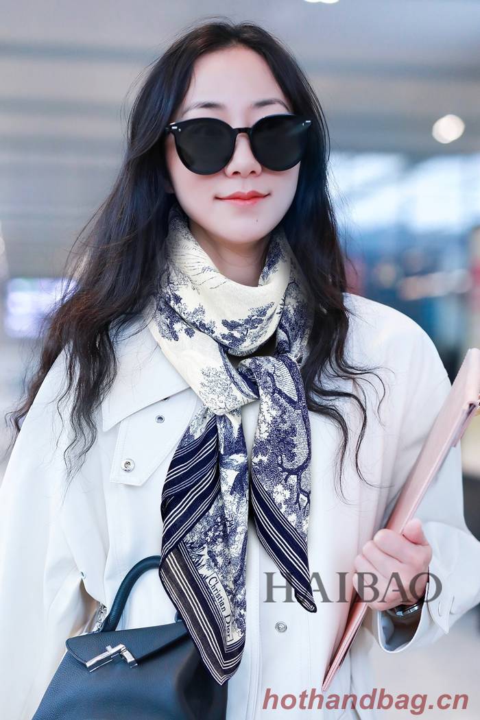 Dior Scarf DIC00210 Dior Scarf DIC00210