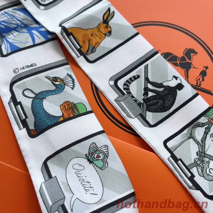 Hermes Scarf HEC00558 Hermes Scarf HEC00558