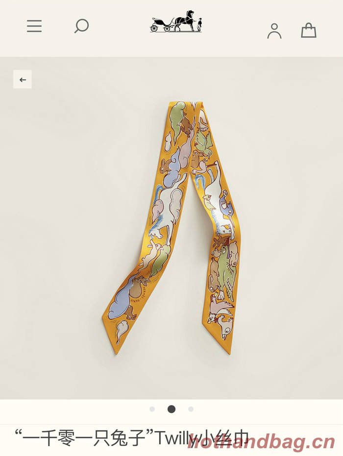 Hermes Scarf HEC00567 Hermes Scarf HEC00567