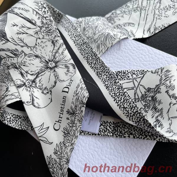 Dior Scarf DIC00213 Dior Scarf DIC00213