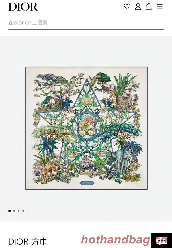 Dior Scarf DIC00287 Dior Scarf DIC00287