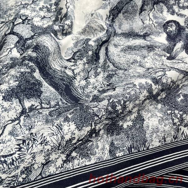 Dior Scarf DIC00323 Dior Scarf DIC00323