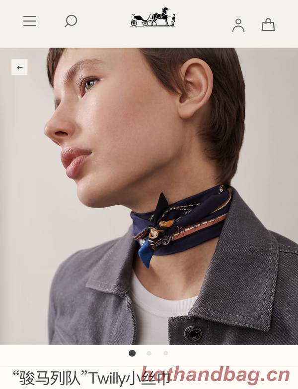 Hermes Scarf HEC00743 Hermes Scarf HEC00743