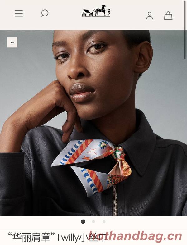 Hermes Scarf HEC00746 Hermes Scarf HEC00746