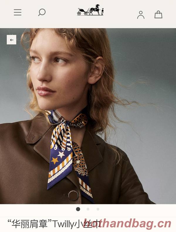 Hermes Scarf HEC00748 Hermes Scarf HEC00748