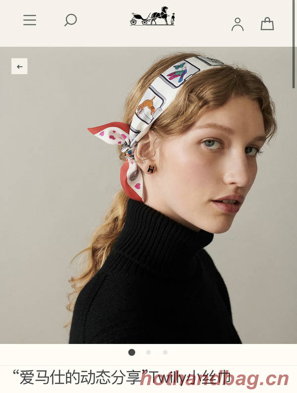 Hermes Scarf HEC00749 Hermes Scarf HEC00749