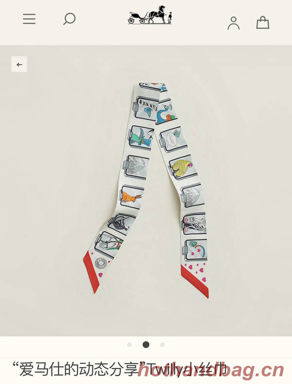 Hermes Scarf HEC00749 Hermes Scarf HEC00749
