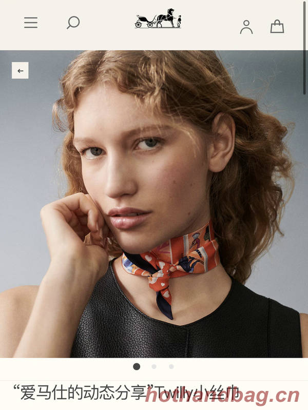 Hermes Scarf HEC00752 Hermes Scarf HEC00752