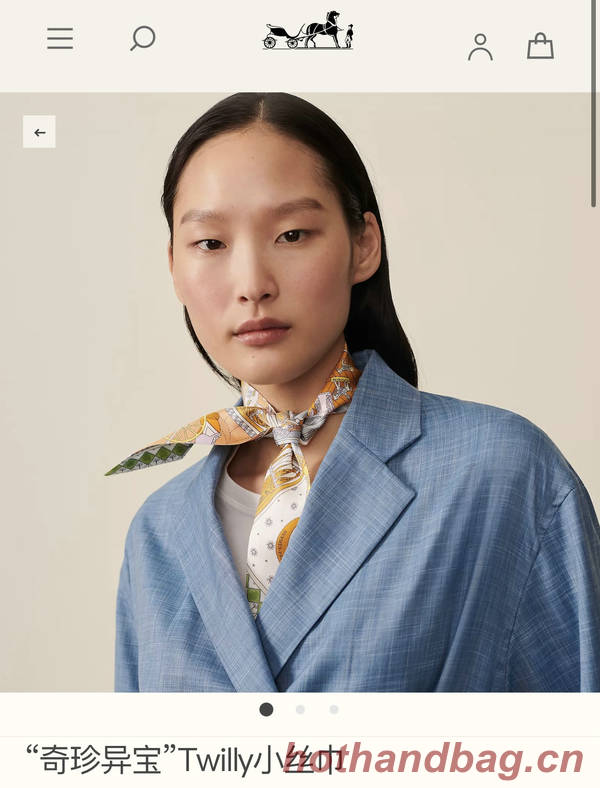 Hermes Scarf HEC00753 Hermes Scarf HEC00753