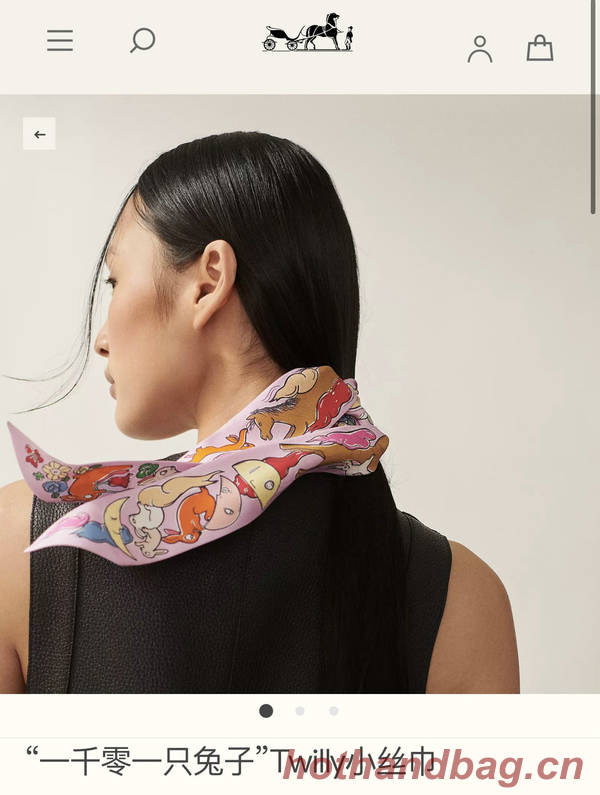 Hermes Scarf HEC00757 Hermes Scarf HEC00757