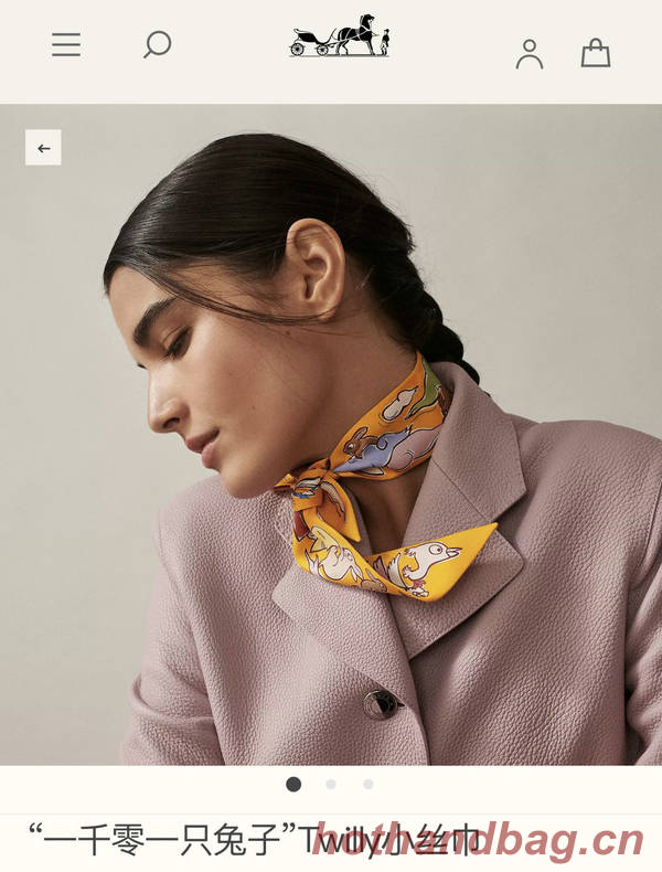 Hermes Scarf HEC00758 Hermes Scarf HEC00758
