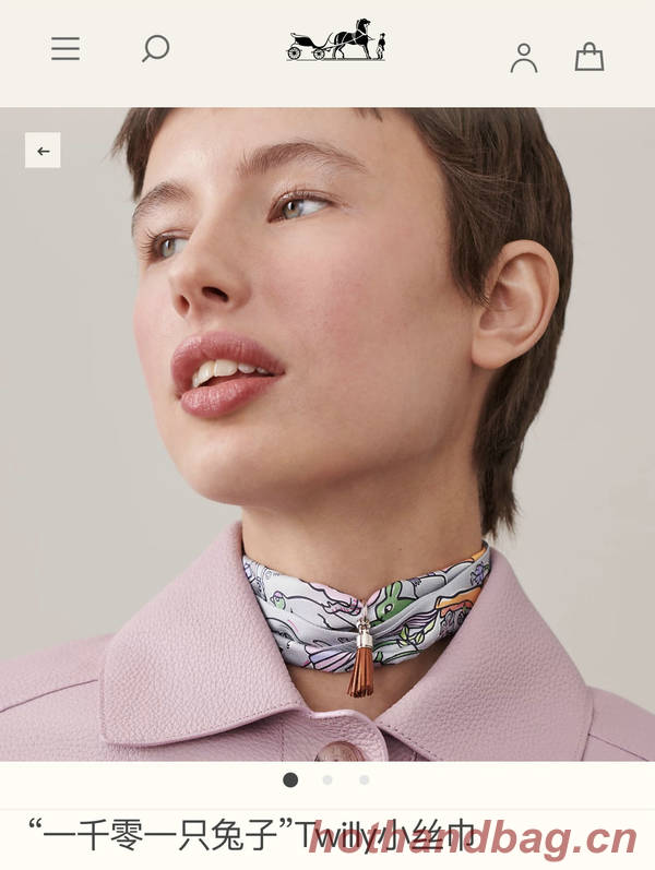 Hermes Scarf HEC00760 Hermes Scarf HEC00760