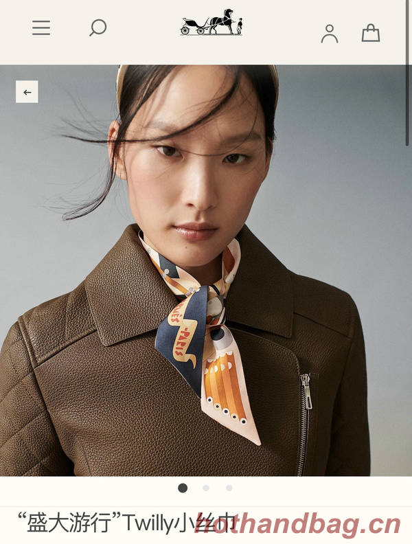 Hermes Scarf HEC00761 Hermes Scarf HEC00761