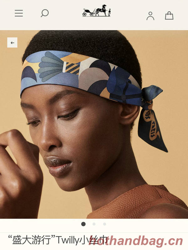 Hermes Scarf HEC00764 Hermes Scarf HEC00764