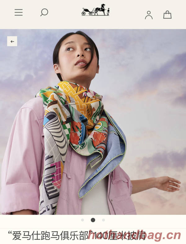 Hermes Scarf HEC00834 Hermes Scarf HEC00834
