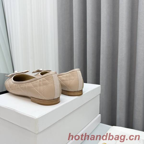 Dior Shoes DIS00255 Dior Shoes DIS00255