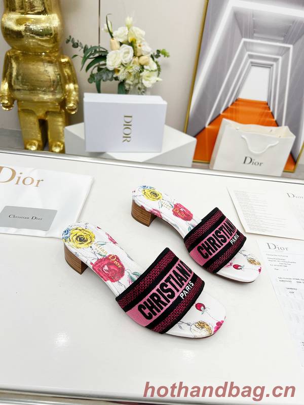 Dior Shoes DIS00296 Dior Shoes DIS00296