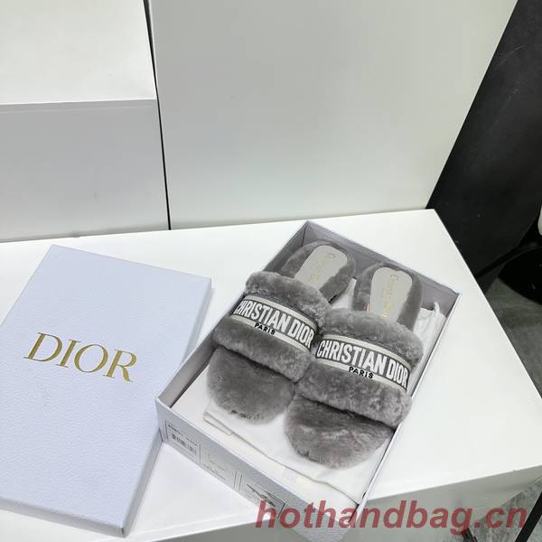 Dior Shoes DIS00303 Dior Shoes DIS00303