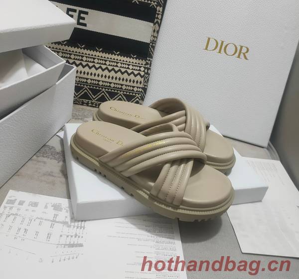 Dior Shoes DIS00308 Dior Shoes DIS00308