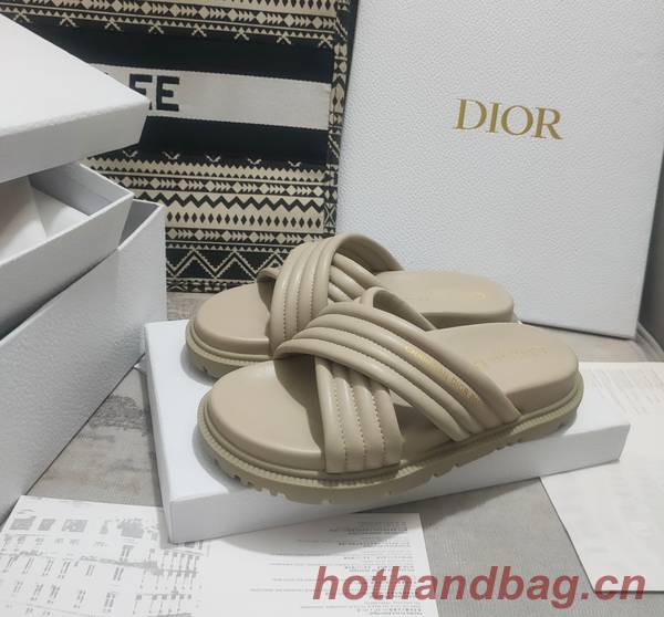 Dior Shoes DIS00308 Dior Shoes DIS00308