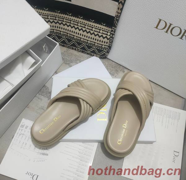 Dior Shoes DIS00308 Dior Shoes DIS00308