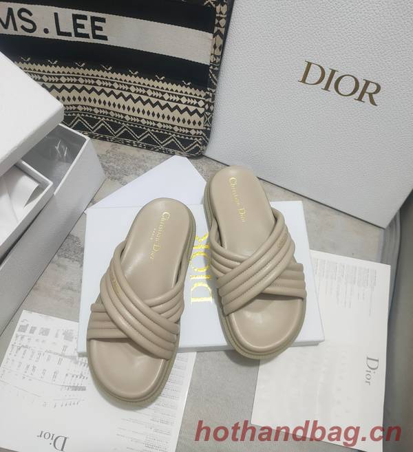 Dior Shoes DIS00308 Dior Shoes DIS00308