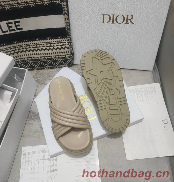 Dior Shoes DIS00308 Dior Shoes DIS00308