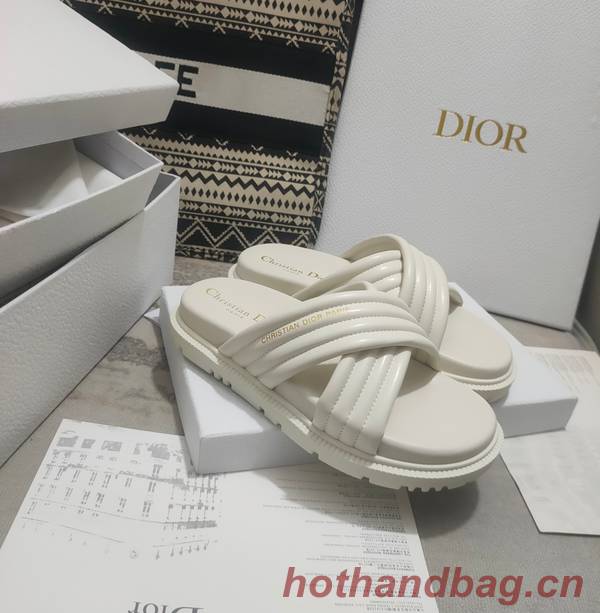 Dior Shoes DIS00309 Dior Shoes DIS00309