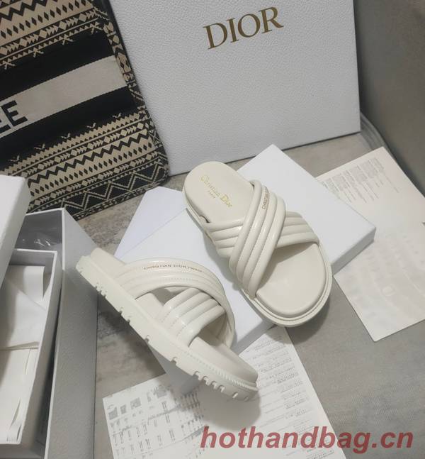 Dior Shoes DIS00309 Dior Shoes DIS00309