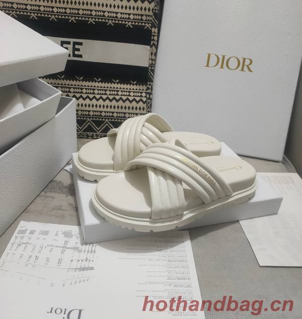 Dior Shoes DIS00309 Dior Shoes DIS00309