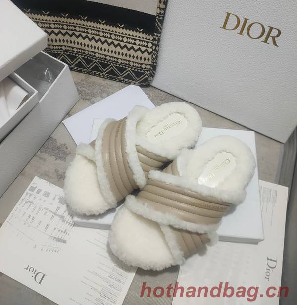 Dior Shoes DIS00311 Dior Shoes DIS00311