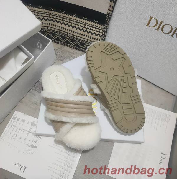 Dior Shoes DIS00311 Dior Shoes DIS00311