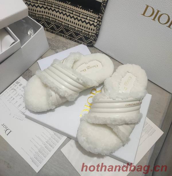 Dior Shoes DIS00312 Dior Shoes DIS00312