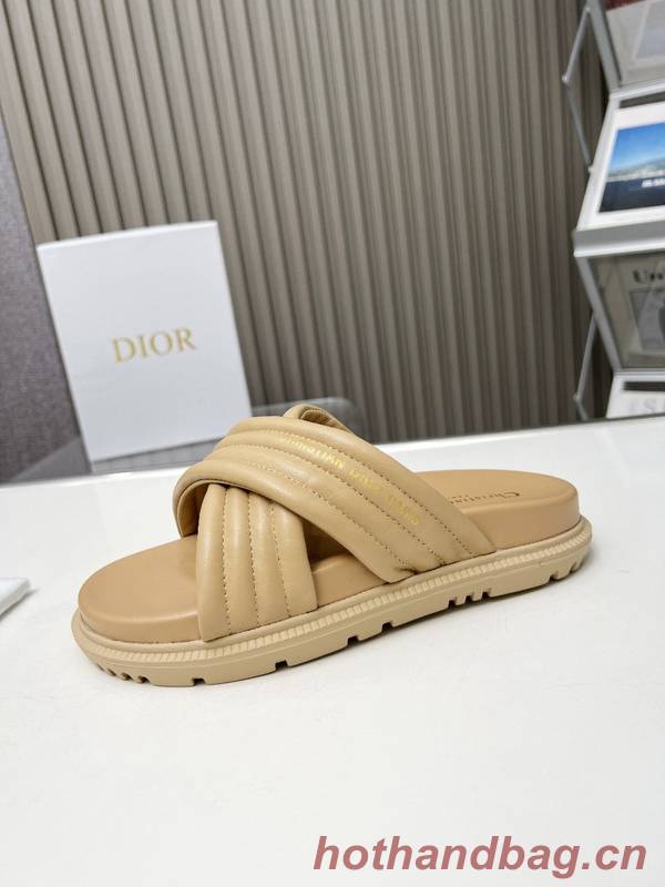 Dior Shoes DIS00339 Dior Shoes DIS00339