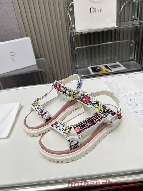 Dior Shoes DIS00341 Dior Shoes DIS00341