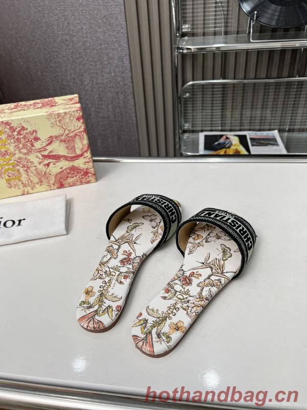 Dior Shoes DIS00346 Dior Shoes DIS00346