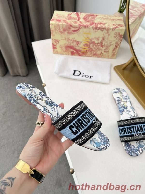 Dior Shoes DIS00347 Dior Shoes DIS00347