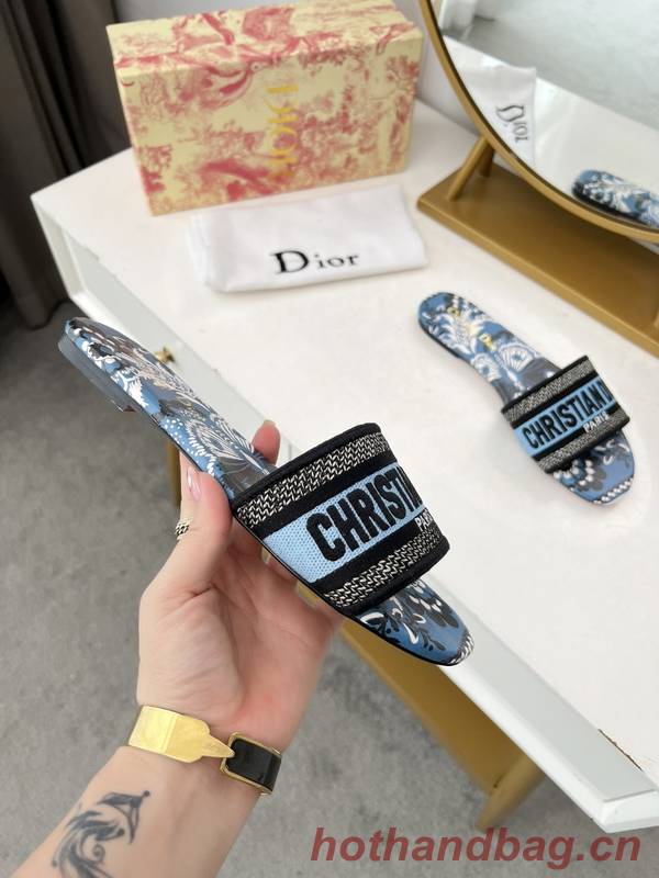 Dior Shoes DIS00349 Dior Shoes DIS00349